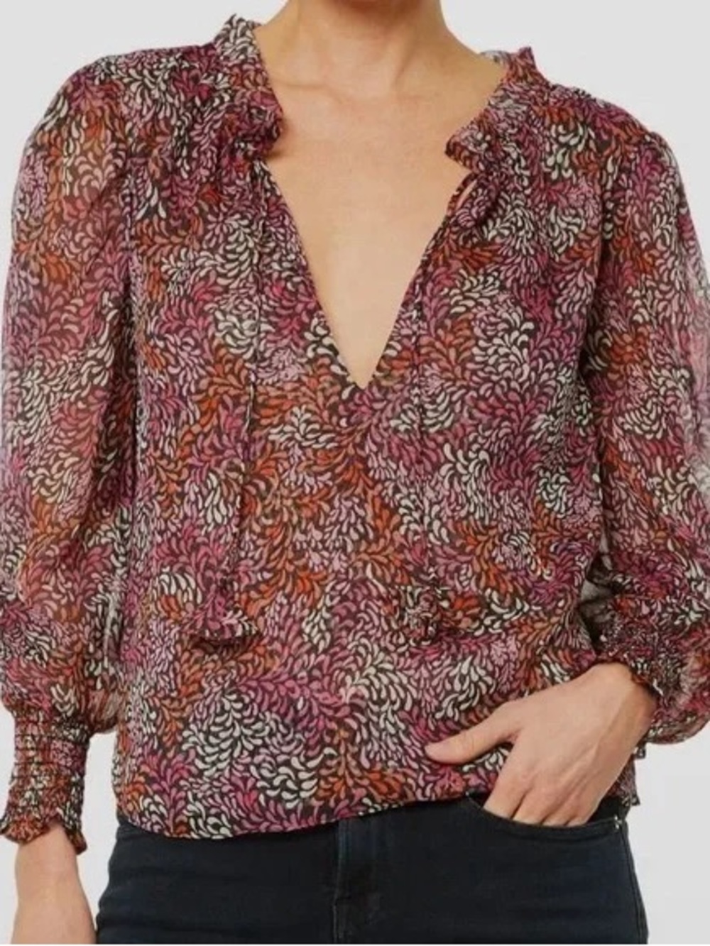 Misa Los Angeles Sienna Sheer Multi-Color Printed Long-Sleeve Blouse